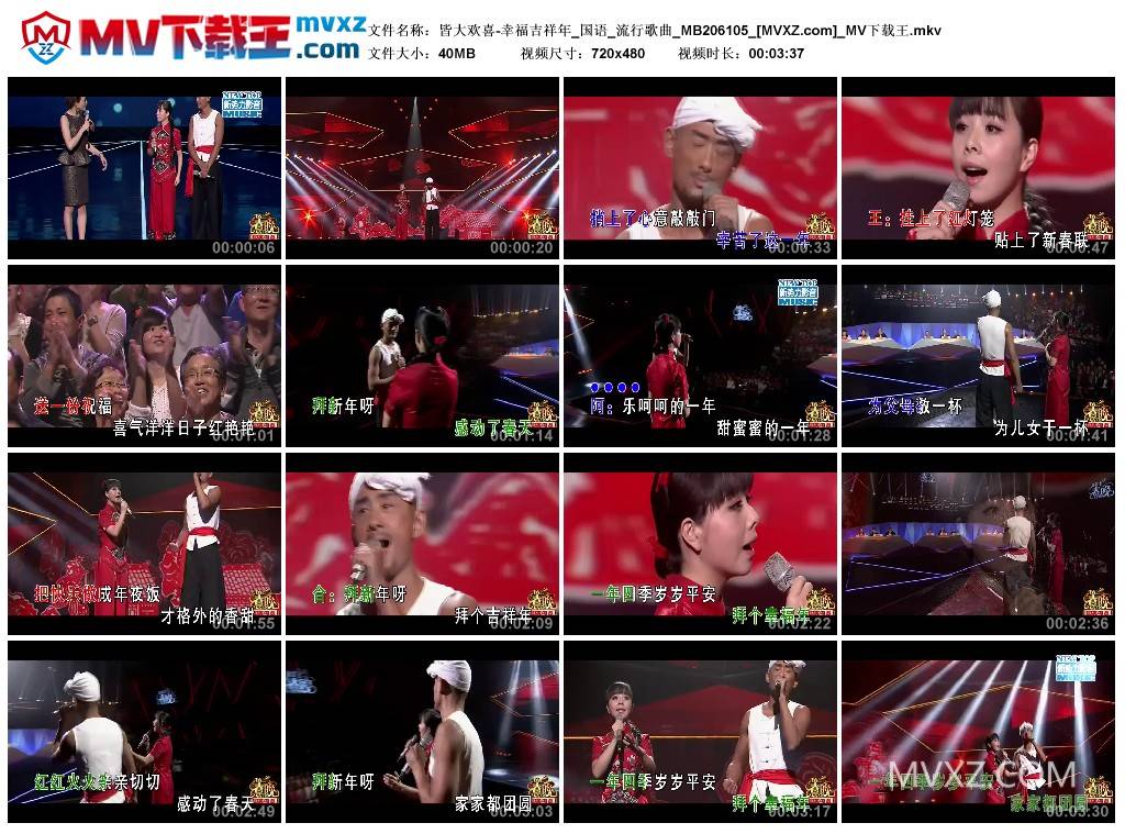 皆大欢喜-幸福吉祥年_国语_流行歌曲_MB206105